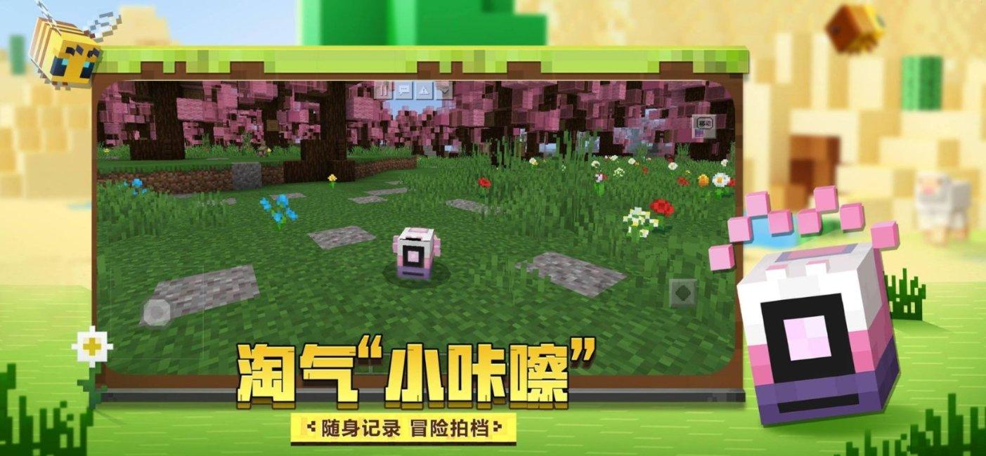 救援修女