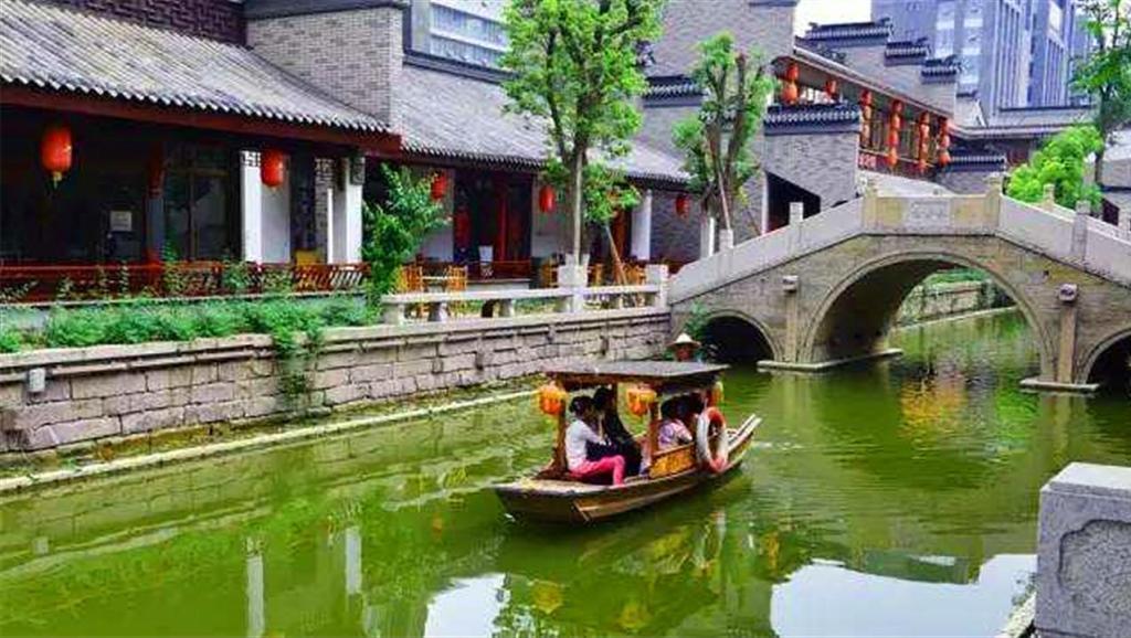 植物大战僵尸20